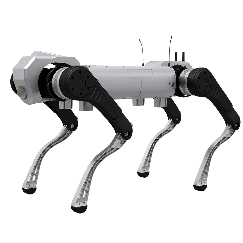 D1 MaxPro 